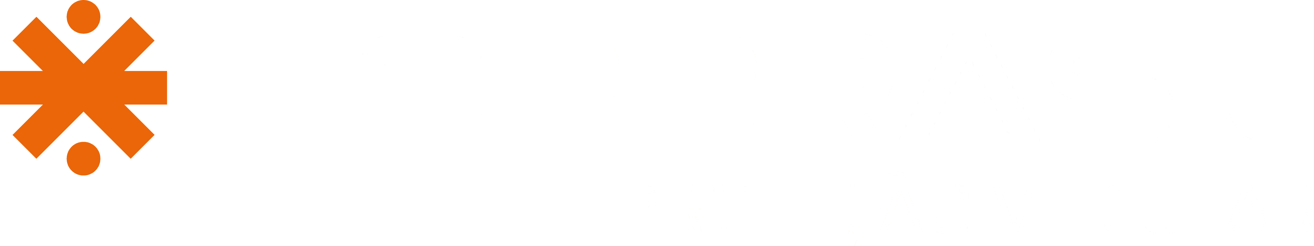 Top Brasil Proteção Veicular